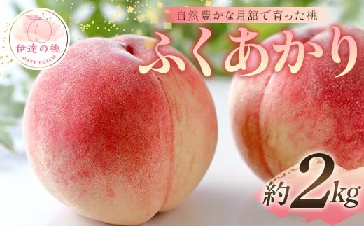 【2026年出荷分先行予約】福島県産 ふくあかり 約2kg (6~8玉) 森果樹園 自然豊かな月舘で育った桃 伊達の桃 桃 フルーツ 果物 もも モモ momo F21C-050