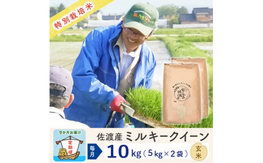【新米予約 9か月定期便】佐渡島産ミルキークイーン 玄米10Kg (5Kg×2袋）令和7年 特別栽培米 2320005 - 新潟県佐渡市