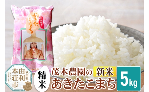 《令和7年産 新米》【精米】  あきたこまち 秋田県産 茂木農園のあきたこまち 精米 5kg 241467 - 秋田県由利本荘市