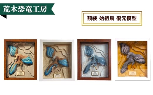 額装 始祖鳥 復元模型　荒木恐竜工房　恐竜　模型　②翼：グレー系　①ボックス額：茶色