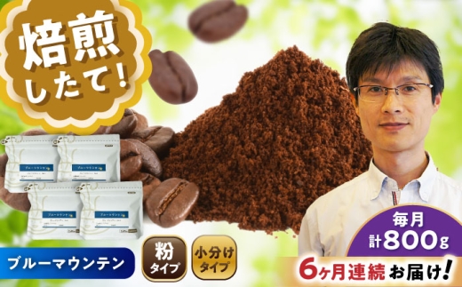 【全6回定期便】ブルーマウンテンNo.1 コーヒー粉 200g×4個 (粉/中挽き) / 珈琲 コーヒー 粉 / 瀬戸市 / Ｃｏｆｆｅｅ　ＳＡＫＵＲＡ [BBAB096]