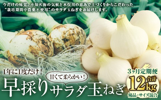 【 3回 定期便 】【2026年2月上旬より順次発送開始】【シーズン期間に3回お届け（発送時期：2026年2月・3月・4月）】＜栽培期間中農薬不使用 熊本県 水俣市産 ／ 耕人舎＞1年に1度だけ！甘くて柔らかい！ 早採り サラダ玉ねぎ （ 優品 ・サイズ混合）　※2月は葉付きの玉ねぎ2kgを、3月及び4月は玉ねぎを5kgずつお届けします。 計約12kg 玉葱 野菜 タマネギ サラダ 2307743 - 熊本県水俣市