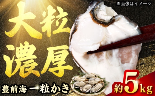 【2026年1月中旬より順次発送】 豊前海 一粒かき 約5kg 吉富町/南水産 [BGBD003]