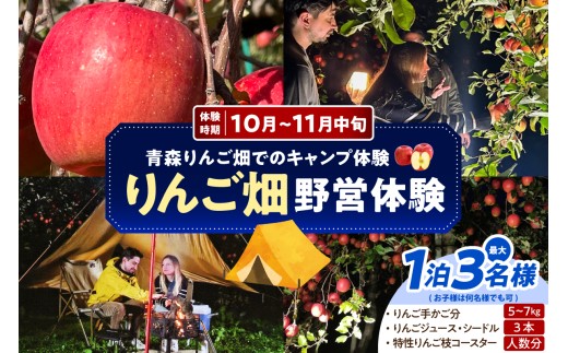 野営体験　りんご畑でのキャンプ体験 1泊分（リンゴ品種おまかせ5kg～7kg、りんごジュース／シードル計３本程度、りんごの木のスウェーデントーチとコースター）青森県五所川原市 トキあっぷる社