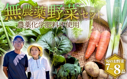 栽培期間中農薬化学肥料不使用　旬のココニコ無農薬野菜セット 7～8品 ／ 野菜 やさい 新鮮 旬 採れたて おいしい 産地直送 産直 露地栽培 こだわり 定番野菜 伝統野菜 めずらしい野菜 フレッシュ 愛知県 No.272 2322962 - 愛知県江南市