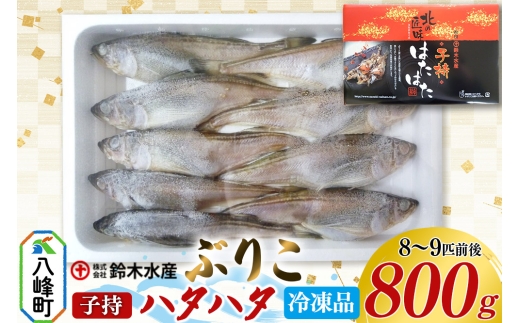 子持ち ハタハタ ブリコ ぶりこ メス 800g（8～9匹前後）冷凍品 はたはた 鰰 子持ちハタハタ 子持ちはたはた 鈴木水産 秋田県 2320045 - 秋田県八峰町