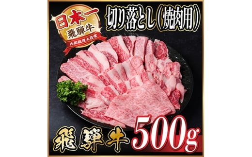 飛騨牛　厳選切り落とし(焼肉・BBQ用)500g　A4～A5等級　訳あり【1487352】 1302747 - 岐阜県羽島市