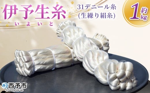 ＜伊予生糸（31デニール糸）約1kg＞ 国産 伊予生糸 いよいと 伊予 生糸 国産生糸 西予産 GI登録 絹糸 白生糸 日本製 生繰り式 国産繭使用 友禅染め 染色 手織り 組紐 糸 伝統工芸 愛媛県西予市蚕糸業振興協議会 西予市【常温】『1か月以内に順次出荷予定』