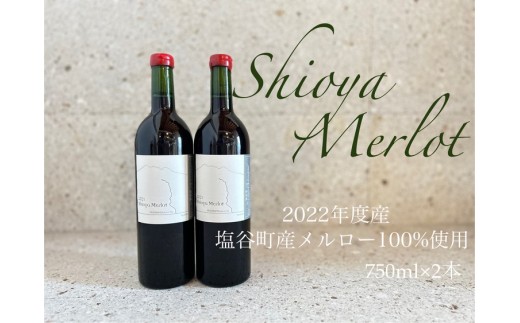 塩谷メルロー 2022 赤ワイン 750ml 2本セット 1898552 - 栃木県塩谷町