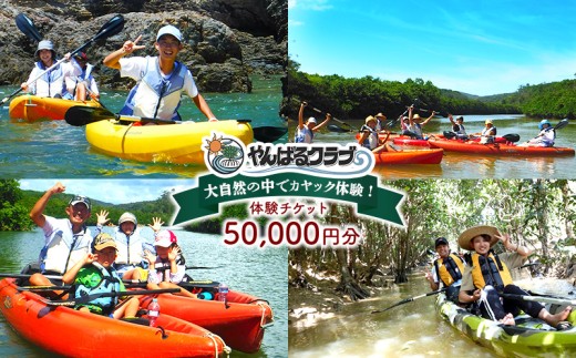 大自然の中でカヤック体験！やんばるクラブ　体験チケット（50000円分） カヤック 体験 慶佐次川 大自然 探検 冒険 マングローブ やんばるの森 生き物 植物 亜熱帯 ガイド付き ガイドツアー 小学生 3歳 自然観察 ヤンバル やんばる 沖縄 東村 2319995 - 沖縄県東村