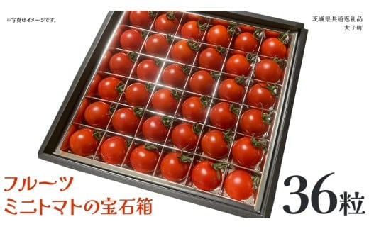 フルーツ ミニトマト の宝石箱 36粒 (茨城県共通返礼品：大子町) 野菜 フルーツ 旬 季節限定 期間限定