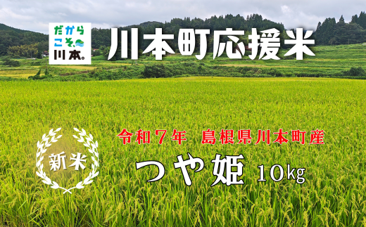 150255【川本町産】川本町応援米｜つや姫10kg