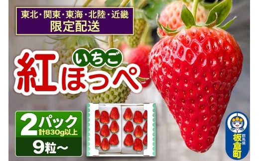 【東北・関東・東海・北陸・近畿 限定配送】いちご「紅ほっぺ」９粒～ (2パック計830g以上)【12月中旬から順次発送】イチゴ 苺 あまい １粒35g以上の特大粒を厳選 産地直送ならではの大きさと赤さ 一般市場には流通しない厳選のいちご 数量限定