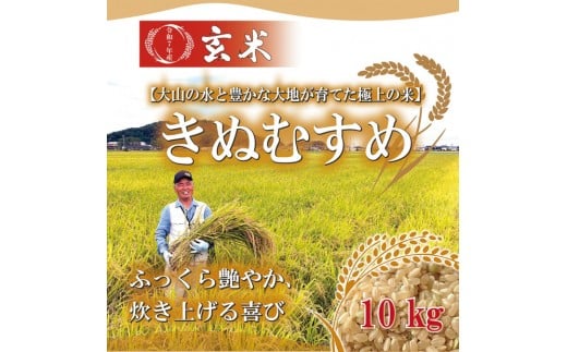 1107.令和7年産　きぬむすめ玄米 10kg