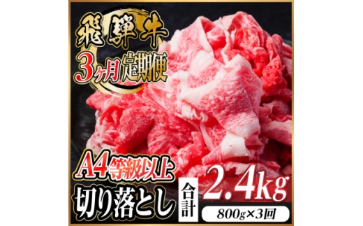 レビューキャンペーン実施中!＜毎月定期便＞飛騨牛 厳選切り落とし 計2.4kg全3回　小分け【4055980】 1469495 - 岐阜県羽島市