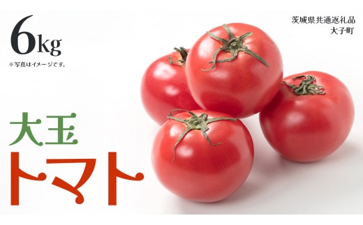 大玉 トマト 6kg (茨城県共通返礼品：大子町) 野菜 フルーツ 旬 季節限定 期間限定