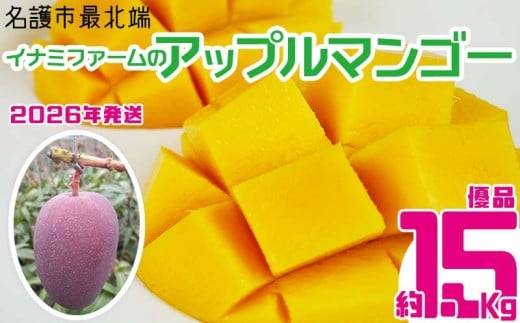【2026年発送】名護市最北端イナミファームの　優品　アップルマンゴー 約1.5kg フルーツ 果物 期間限定 数量限定 マンゴー 南国 プレゼント お土産 おみやげ ギフト くだもの 季節 おきなわ 青果 デザート おすすめ 人気 冷蔵 夏 スイーツ 808615 - 沖縄県名護市