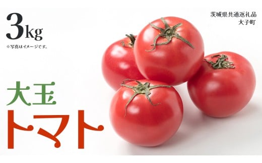 大玉 トマト 3kg (茨城県共通返礼品：大子町) 野菜 フルーツ 旬 季節限定 期間限定