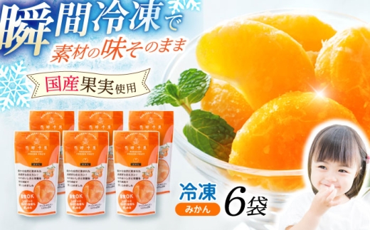 長崎冷果 みかん 6袋セット / 冷凍 冷凍フルーツ みかん ミカン 柑橘 / 諫早市 / エスジーエス株式会社 [AHEQ002]