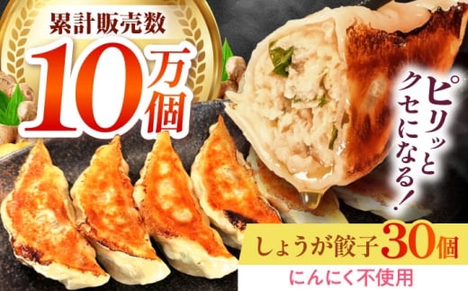 冷凍 しょうが餃子 30個入り 惣菜 餃子 ぎょうざ ギョウザ ギョーザ 大阪府高槻市/餃子屋藤 [AOEO001]