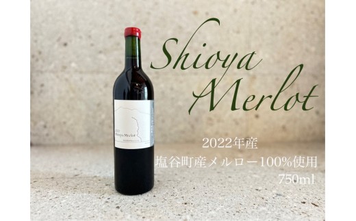 塩谷メルロー 2022 赤ワイン 750ml 1本 1898539 - 栃木県塩谷町