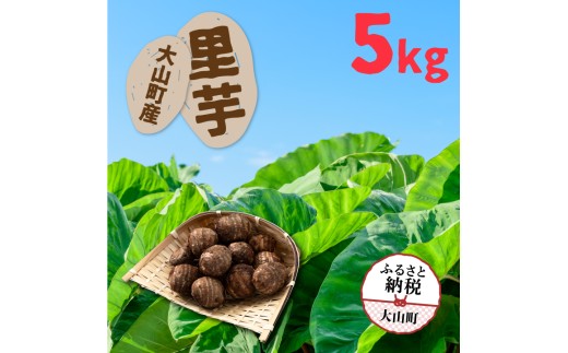 TY-02　 大山町産里芋5kg