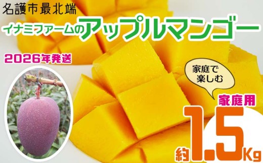 【2026年発送】名護市最北端イナミファームの家庭で楽しむアップルマンゴー 約1.5kg フルーツ 果物 期間限定 数量限定 マンゴー 南国 プレゼント お土産 おみやげ ギフト くだもの 沖縄 おきなわ 青果 デザート 冷蔵 おすすめ 人気 夏 スイーツ 1367980 - 沖縄県名護市
