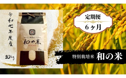 【6ヵ月定期便】《 令和7年産 》和の米「酵素米」　玄米10kg×6回 ／ 米 こめ コメ お米 おこめ コシヒカリ こしひかり 和の米 酵素米 特別栽培認証 新米 玄米 ごはん ご飯 令和7年産 10kg 定期便 茨城県 利根町 送料無料
