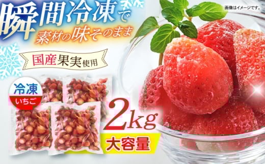 【業務用】大容量 長崎いちご 4袋セット / 冷凍 冷凍フルーツ いちご イチゴ 苺 2kg / 諫早市 / エスジーエス株式会社 [AHEQ005]