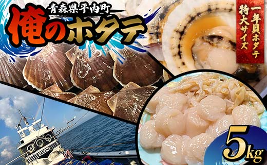 「俺のホタテ」 1年貝ホタテ特大サイズ 5kg ホタテ ほたて 帆立 活ホタテ 貝柱 殻付き 魚介 魚貝 魚貝類 青森 青森県 東北 平内 むつ湾 F21J-246 1996856 - 青森県平内町