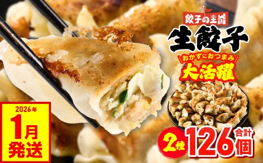 餃子の王国 人気生餃子 126個 2種類 黒豚生餃子30個/工場直売生餃子96個 餃子 セット 食べ比べ 詰合せ ギョウザ ぎょうざ 中華 ショウガ おかず 惣菜 国産 八代市東陽町の生姜を使用 熊本県 九州 冷凍【2026年1月発送】