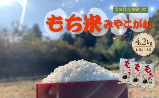 令和7年度産 宮城県大河原町産 みやこがね 4.2kg(1.4kg×3) もち米 餅米  こめ コメ モチ もち もち米 お餅 餅 2321398 - 宮城県大河原町