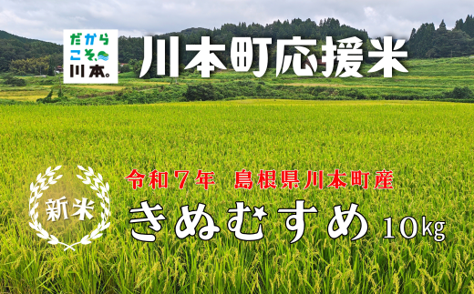 150255【川本町産】川本町応援米｜きぬむすめ10kg