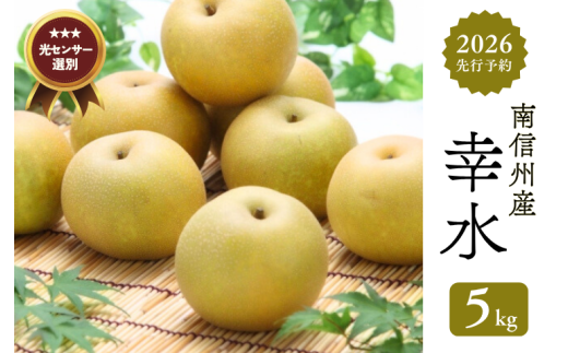 JA05-26A【先行予約】梨 幸水 約5kg／2026年8月中旬～9月上旬頃 配送予定 // 贈答 センサー選別 糖度センサー 梨 なし ナシ 果物 フルーツ ギフト 幸水 太鼓判 優糖生 568356 - 長野県松川町