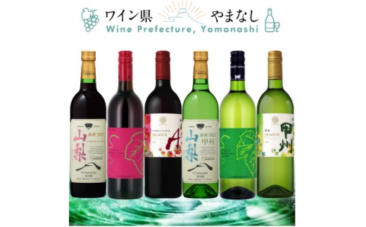 山梨の新酒 2025 飲み比べ 6本セット【1661965】