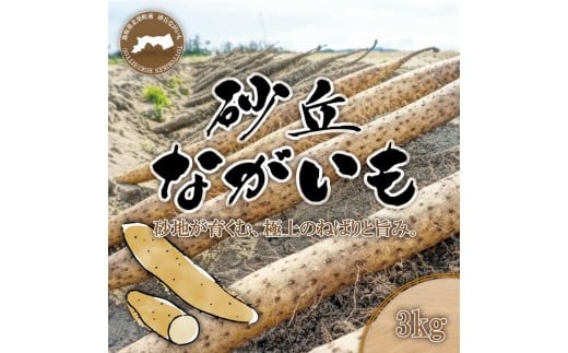 1114.砂丘ながいも3kg