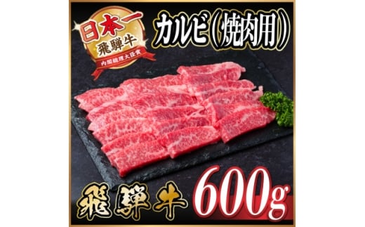 飛騨牛　厳選カルビ(焼肉・BBQ用)600g　A4～A5等級　小分け【1543783】 1492988 - 岐阜県羽島市