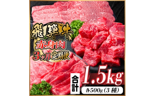 レビューキャンペーン実施中!＜毎月定期便＞飛騨牛 赤身肉定期便 計1.5kg全3回【4059528】 1543181 - 岐阜県羽島市