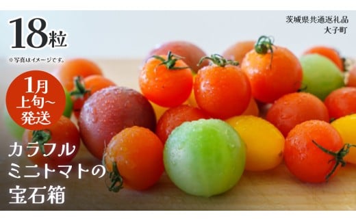 カラフル ミニトマト の宝石箱 18粒【2026年1月上旬発送開始】(茨城県共通返礼品：大子町) 野菜 フルーツ 旬 季節限定 期間限定