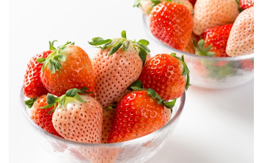 【セット】岸川農園のいちご3種食べ比べ「いちごさん、さがほのか、淡雪」