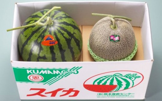 熊本県産 大玉スイカ1玉と肥後グリーンメロン1玉 合計2玉