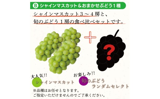 アイテムID:396008の画像2枚目