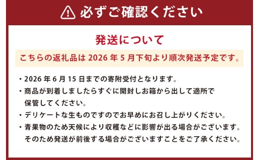 熊本県産 肥後グリーンメロン 2玉入り