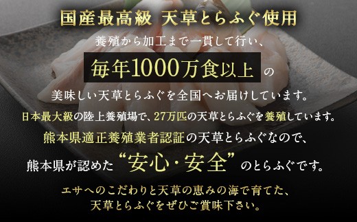 ふぐの王様！とらふぐ 国内最高級！天草とらふぐセット ふぐ鍋 フグ 河豚 てっちり