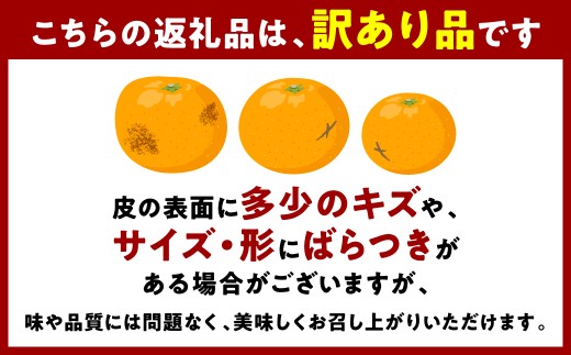 【訳あり】みかん 家庭用 (3S～3Lサイズ) 約5kg 八代市産 熊本 ご家庭用 蜜柑 ミカン 柑橘 くだもの 果物 フルーツ