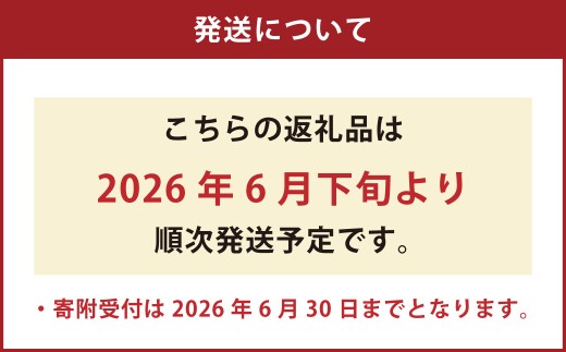 くまモン柄のメロン 1玉 果物 フルーツ めろん