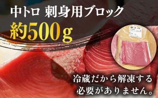 五島列島産 養殖 生本かみまぐろ 中トロ 500g / まぐろ 鮪 刺身 ブロック