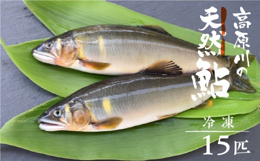 ＼2025年利き鮎グランプリ受賞／先行予約 高原川の天然鮎 15匹(17~20cm) 鮎 あゆ アユ 川魚 魚 サカナ 高原川 天然 冷凍 個包装 アウトドア バーベキュー BBQ 魚 飛騨市  50000円 5万 ポッキリ