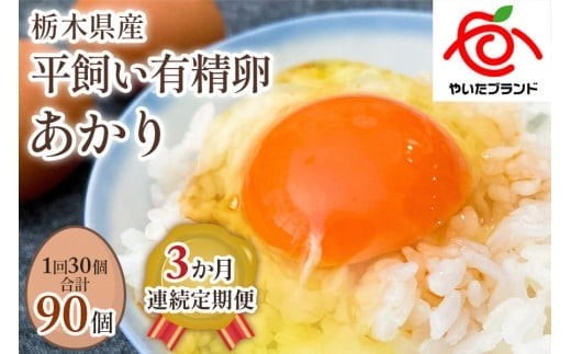 【定期便3回】[平飼い有精卵30個] 濃厚な黄身が特徴 ワタナベファームのおてんば長女【平飼い有精卵あかり】 (毎月お届け） 864501 - 栃木県矢板市