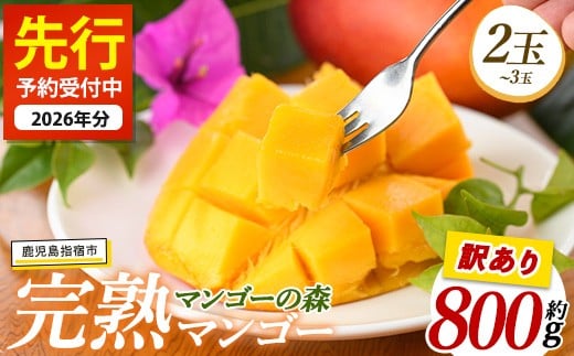 【訳あり】しあわせ完熟マンゴー 約800g(マンゴーの森/016-2055)  2玉 ～ 3玉 国産 南国 指宿産 鹿児島 アップルマンゴー マンゴー 果物 くだもの フルーツ 完熟 産地直送 お取り寄せ